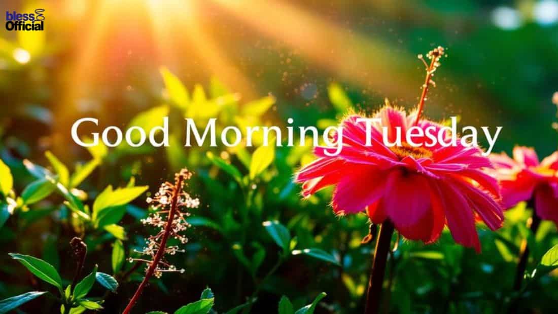 Beautiful Good Morning Tuesday Blessings